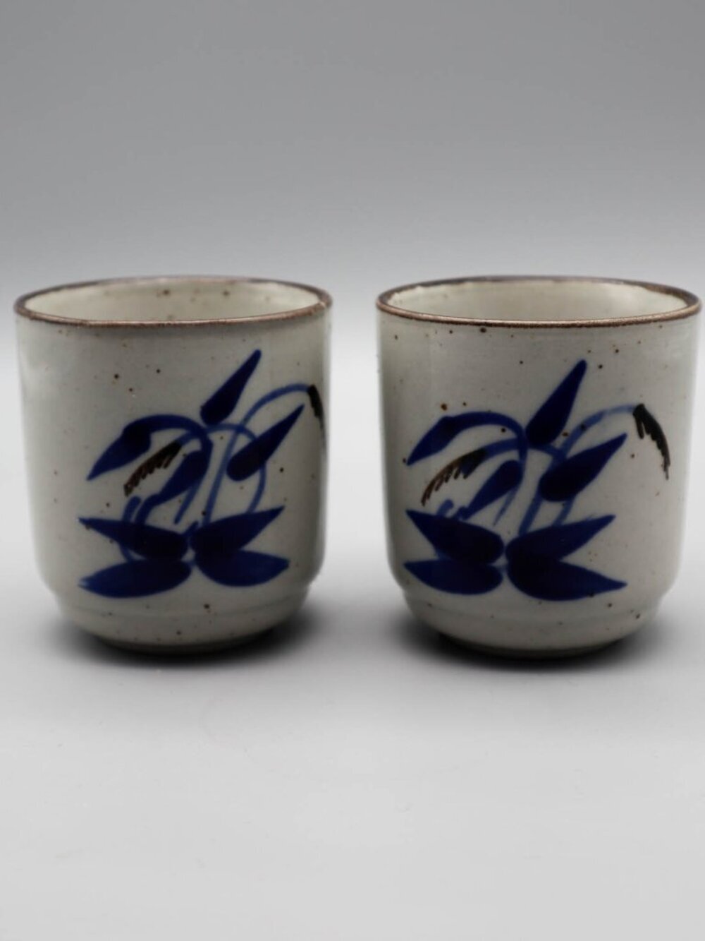 2 Japanese Pottery Yunomi Tea Cups Sake Set Speckled Blue Floral Botanical